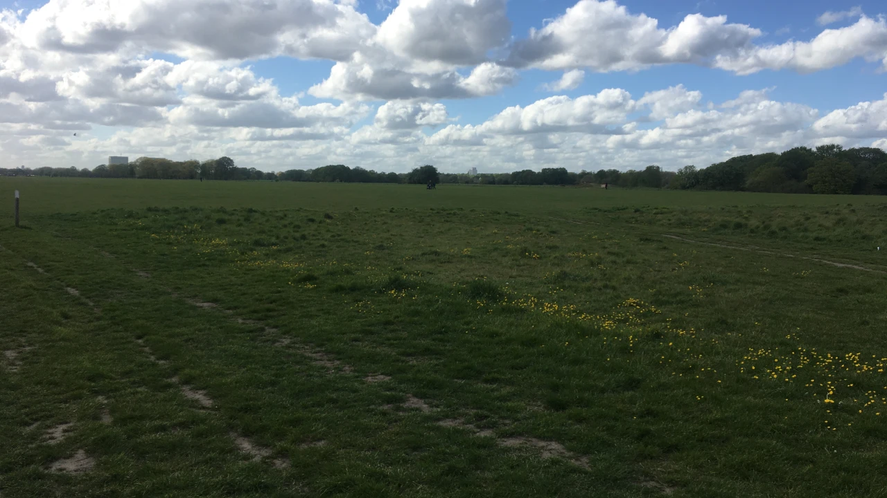 Wanstead Flats(1)